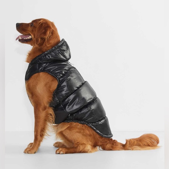 The Super Ruff Puff™ - Hi-Gloss - Picture 3 of 16